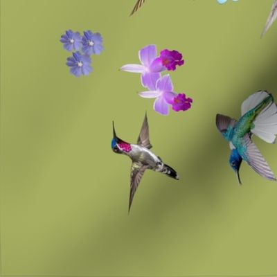 Hummingbird garden -  Forest green
