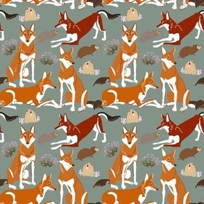 Caberu the  Ethiopian  Wolf  pattern in Salvia green small scale