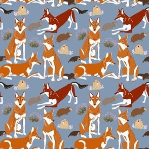 Caberu the  Ethiopian  Wolf  pattern in baby blue small scale