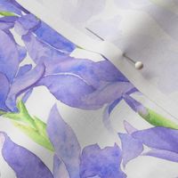 watercolor violet blue irises flowers, floral cottagecore, farmhouse, S