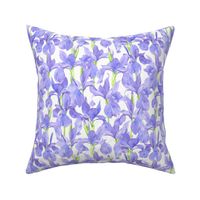 watercolor violet blue irises flowers, floral cottagecore, farmhouse, S