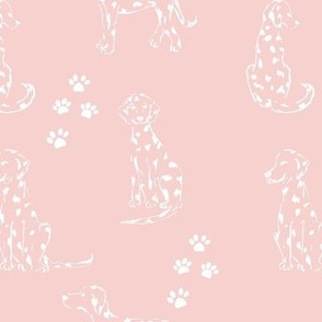 Pink Dalmatians