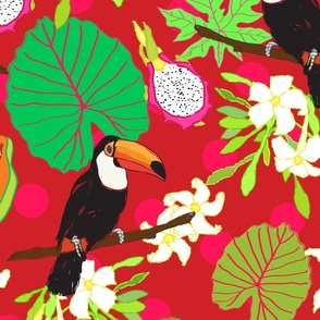 Larger Scale - Polka Dot Toucans in Hot Red + Neon Pink