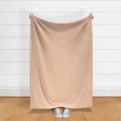 Peach Beige Solid Color  F6CCB0