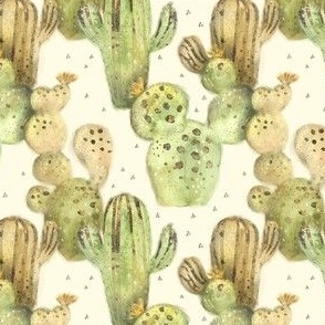 Cacti with golden stripes - medium