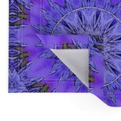 Sammie purple macro print