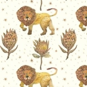 The Lion and the Protea flower