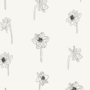 20" Repeat Simple Sketched Daffodil Pattern Large Scale | Cream and Gray MK003