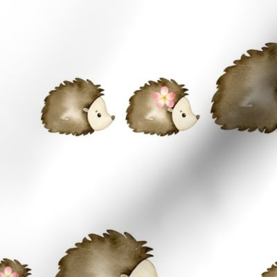 Watercolor Hedgehogs