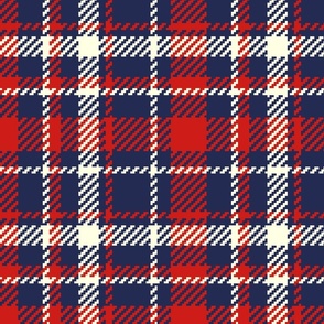 Vintage Kitchen Wallpaper tartan navy red