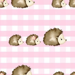 Watercolor Baby Hedgehogs Pink Gingham Check