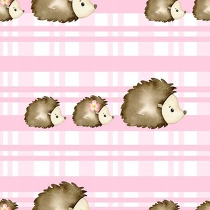 Watercolor hedgehogs on pink plaid
