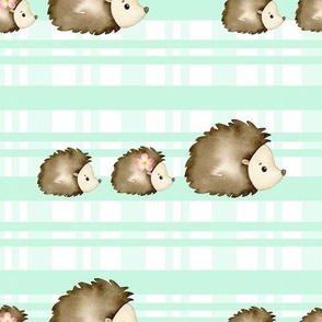 Watercolor Hedgehogs Mint Green Gingham Check 