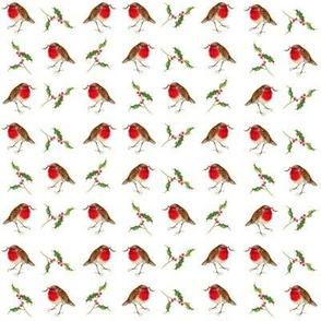 robins and holly