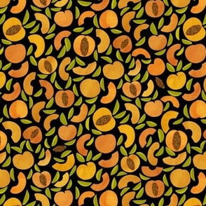 Apricots black background_orange and black(small scale)