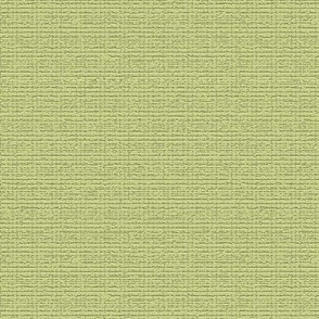 Spring Green Texture for Quilters - coordinate for Lilac Visions 