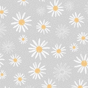 Daisy field on grey large scale