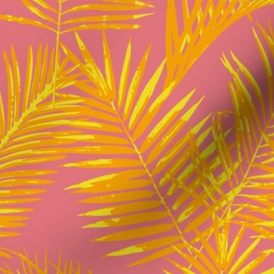 Areca Palms