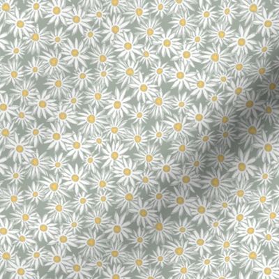 Boho Desert White Daisy Floral on Sage Green Background