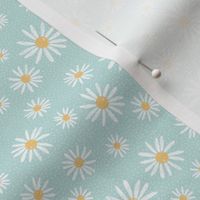 Daisy field on aqua, small scale