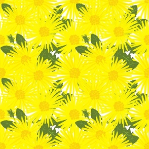 Mid-Century Modern Cheerful Yellow Dandelion Flowers