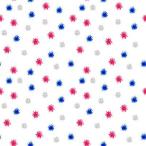 Patriotic Party Fireworks 4x4