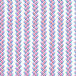 Patriotic Party Braided stripes 2.6 x 2.6