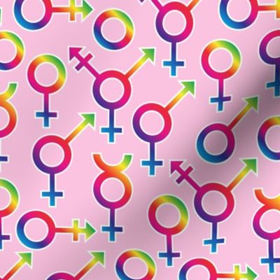 We are all equal LGBT+ symbols All the genders on pink Medium scale