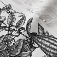 Medicinal plant in sketched style