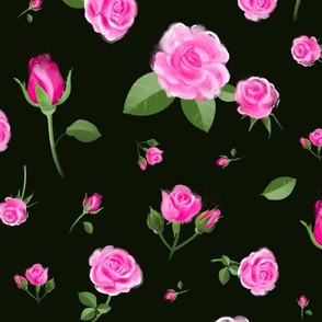 Pink Roses on nearly black - large