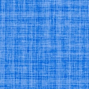 Natural Texture Gingham Checks Plaid Neutral Blue Dynamic Sapphire Blue Medium Blue 0044CC Woven Pattern Dynamic Modern Abstract Geometric