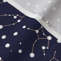 Star stars - Zodiac starry abstract texture