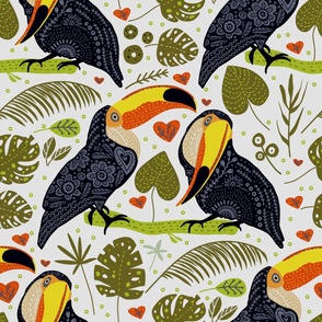 Toucan bird – tropical jungle rainforest