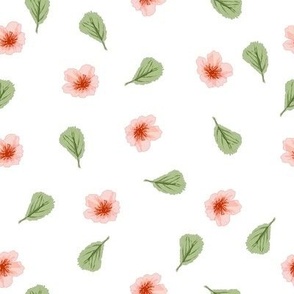 Peach Blossoms-tossed flowers in tones of peach with falling green leaves on a white background.