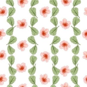 Peach Blossoms-Stripes of blossoms in tones of peach and soft green leaves on a white background.
