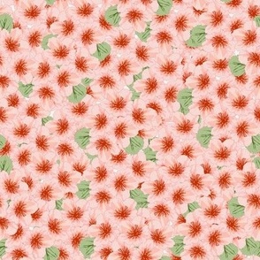 Peach Blossoms-Allover blossoms in tones of peach with soft green leaves and a white background.