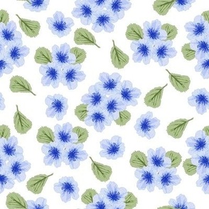 Blue Blossoms-clusters of blue flowers with green leaves on a white background.