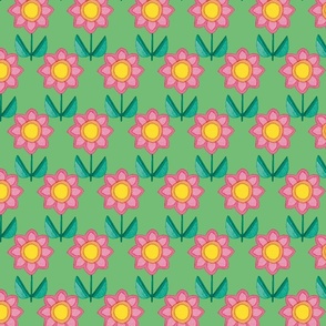 PINK DAISIES on green - medium