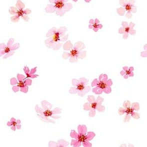 Cherry Blossom Watercolor Pattern