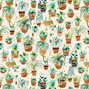 Succulents Home indoor gardening Green ecru Micro Fabric 