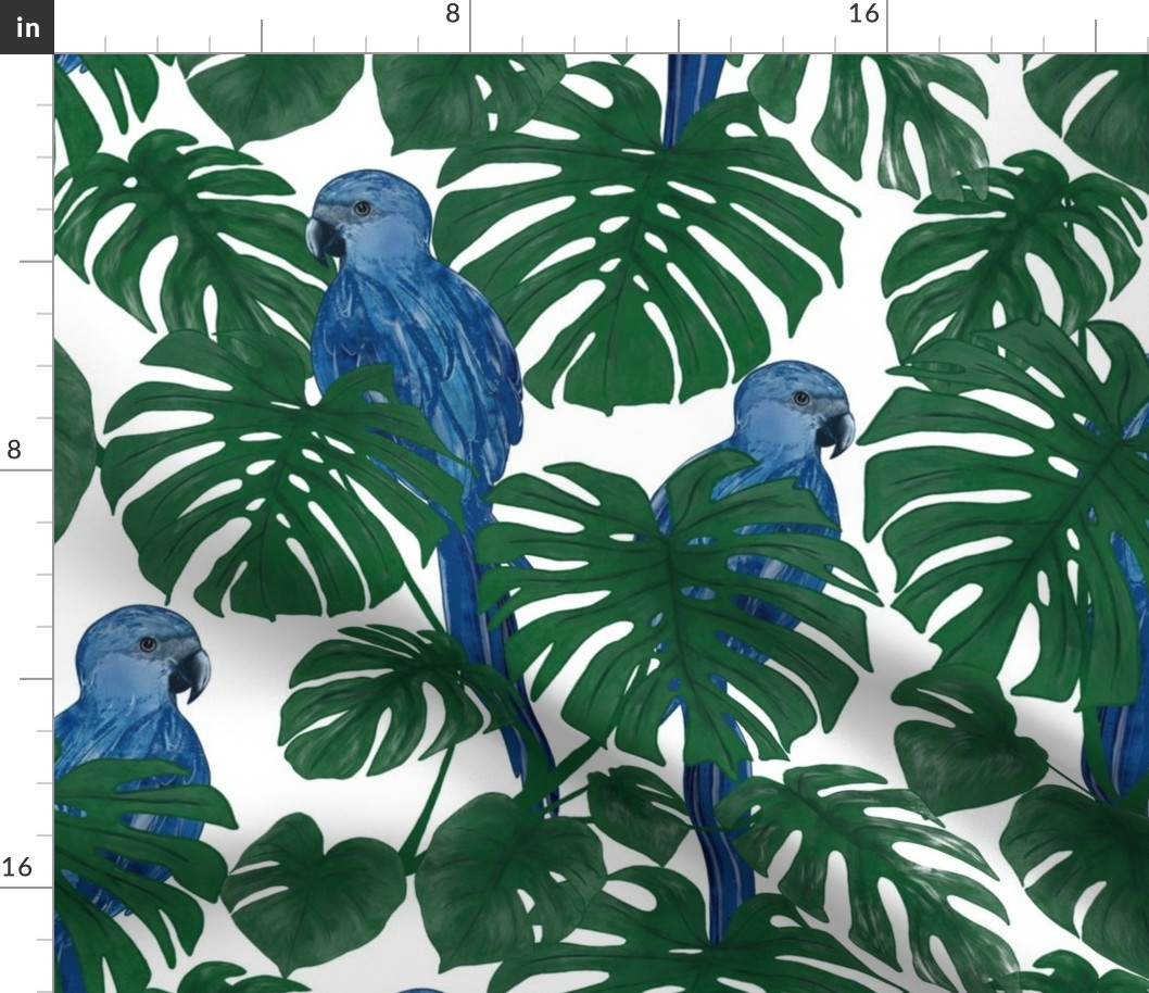 Joyful Jungle blue macaw