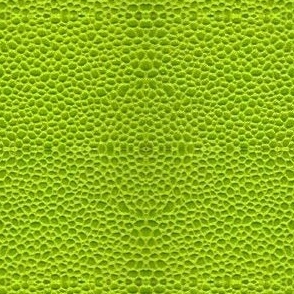 Lime Green Leather