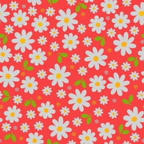 Flower field daisies coral red