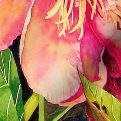 Giant Scale Quilt Panel  Peony