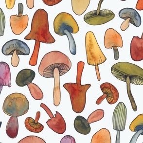 Watercolor Mushrooms (large)
