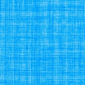 Natural Texture Gingham Checks Plaid Neutral Blue Azure Blue Light Blue 0080FF Woven Pattern Bold Modern Abstract Geometric