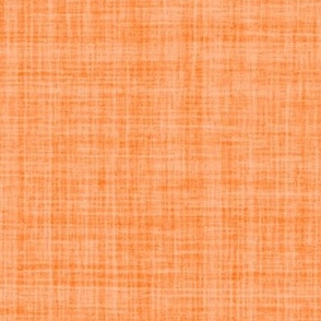 Natural Texture Gingham Checks Plaid Neutral Orange Carrot Orange Pumpkin Orange E57323 Woven Pattern Bold Modern Abstract Geometric