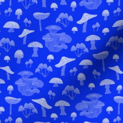 Blue Psychedelic  Mushrooms | Micro Scale