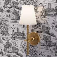 Austin Texas Toile, White