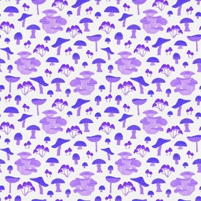 Purple Blue Mushrooms | Small Scale